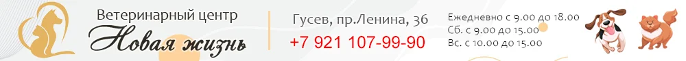 Ветеринарный центр «Новая жизнь»