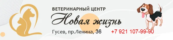 Ветеринарный центр «Новая жизнь»