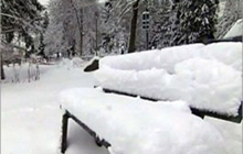 На сегодня из города уже вывезено полторы тысячи тонн снега