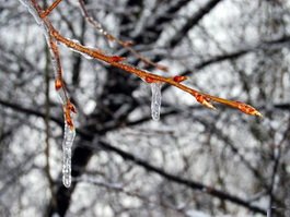 В воскресенье в Гусеве потеплеет