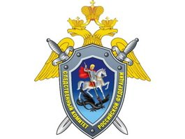 Следствие выясняет обстоятельства гибели 9-месячного ребенка в Гусеве