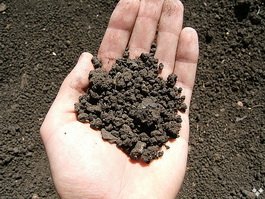Проводится аукцион по продаже прав на заключение договоров аренды земли