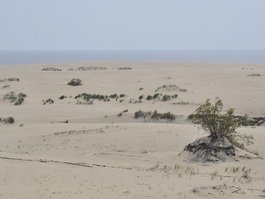 Школа №3: Абашева Н.В. организовала поездку на Куршскую косу
