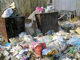 В Гусеве выявлены факты неудовлетворительного содержания территорий