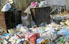 В Гусеве выявлены факты неудовлетворительного содержания территорий