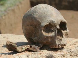 Житель Гусева нашел у себя во дворе человеческий череп