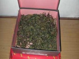 В Гусеве осужден наркоторговец продававший марихуану в воинских частях