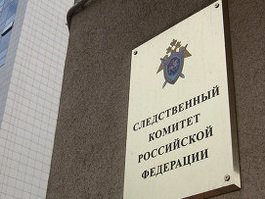 Следственный комитет возобновил уголовное дело по избиению девочки в Гусеве