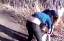 В Гусеве школьники сняли избиение девочки на видео и выложили в интернет