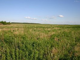Районная администрация предоставляет в аренду земельные участки пострадавшим на Чернобыльской АЭС