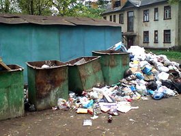 Глава Михайловского сельского поселения оштрафован за нарушение санитарного содержания территорий