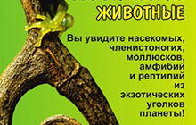 В городском музее покажут живых экзотических животных
