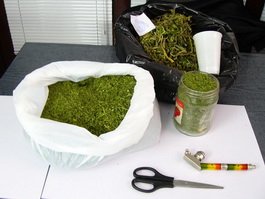 За сбыт марихуаны житель Гусева получил 9,5 лет тюрьмы