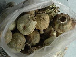 В Гусеве осуждены наркоторговцы - мужчина и женщина
