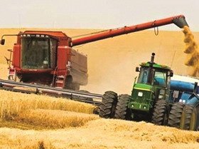 В Гусеве убрано более 90% урожая озимого ячменя