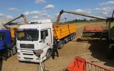 В Гусеве собрали 90% посевных площадей зерновых