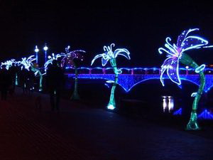 В Гусеве студенты украсили набережную Писсы