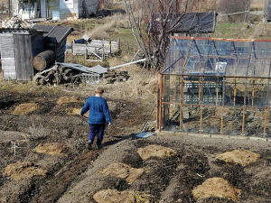 Более 90 жителей Гусева попросили предоставить им огороды