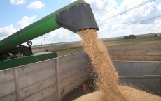 В Калининградской области стартует уборочная кампания