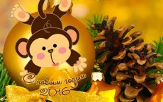 С Новым 2016 годом!