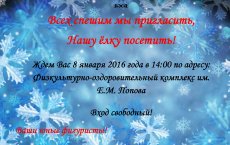 Юные фигуристы приглашают всех 8 января на новогоднюю ёлку