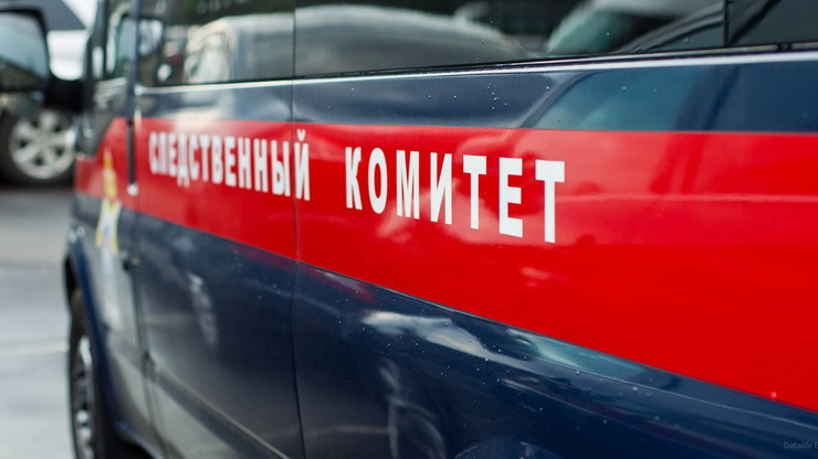 28-летняя жительница Гусева зарезала своего сожителя