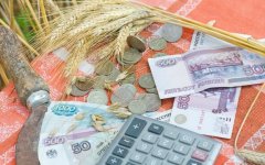 Объявлен конкурс по отбору участников мероприятия «Грантовая поддержка с/х потребительских кооперативов»