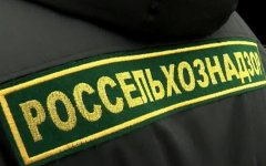 Россельхознадзор оштрафовал ООО «Мясная фабрика» и его директора