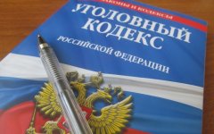 17-летней жительнице Гусева грозит тюрьма за «публичное оправдание терроризма»