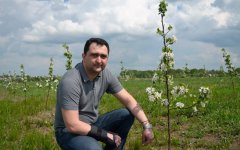 «Городской объектив»: Точно в яблочко
