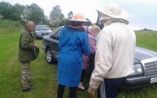 Пасечники обратились к губернатору с требованием наказать виновных в гибели пчёл