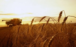 Городская администрация информирует о проведении торгов по продаже земель сельхозназначения
