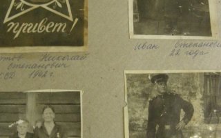 «Городской объектив»: Древо жизни