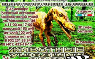 Гусевский музей приглашает на уникальную выставку «Животные ушедших эпох 3D»