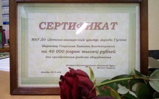 Коллектив ДЮЦ выражает благодарность Михаилу Зацепину за поддержку детского творчества