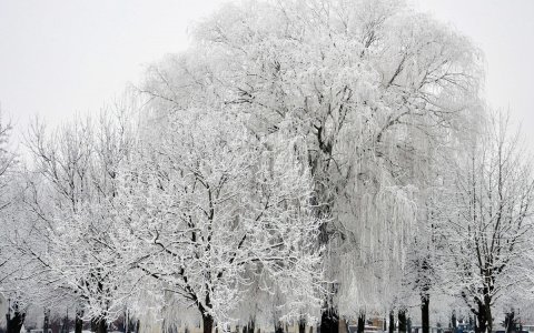 Наш город