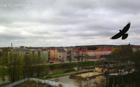 Наш город
