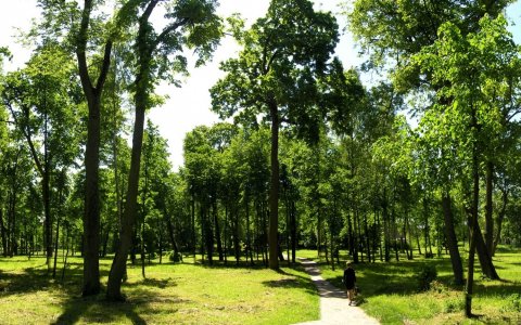 Парк