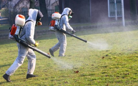 С 24 по 26 марта в городе будет проводиться противоклещевая обработка мест массового отдыха