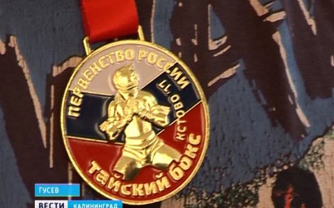 ВГТРК: Гусевские спортсмены вернулись с Первенства России по тайскому боксу с победой