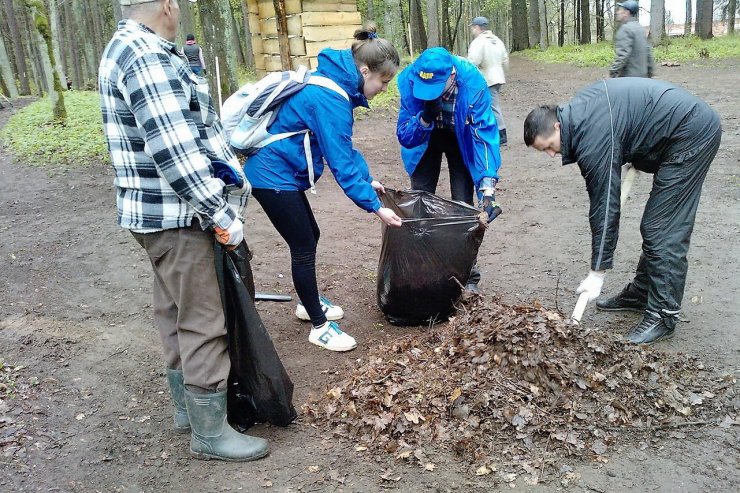 На общегородском субботнике представители ЛДПР убрали территорию в районе Грэсовского леса