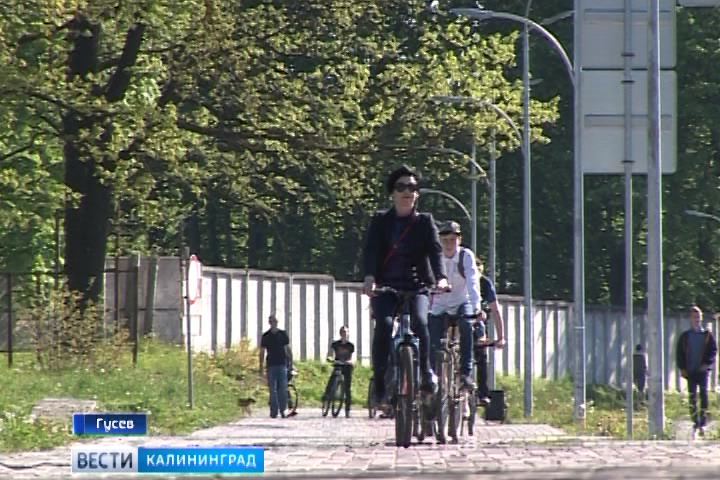Гусев стал одним из самых активных участников ежегодной велоакции
