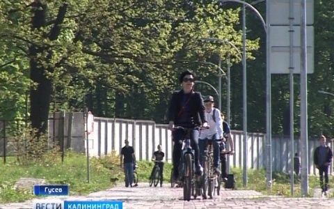 Гусев стал одним из самых активных участников ежегодной велоакции