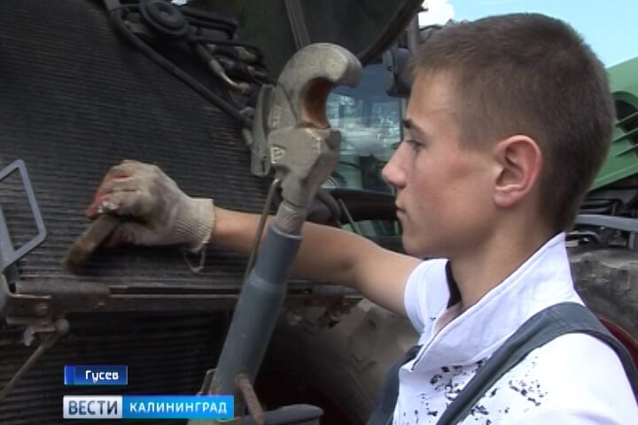 Гусев стал кузницей кадров для аграрного и промышленного сектора региона