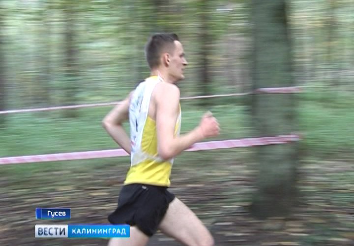 Осенний кросс в Грэсовском лесу собрал 300 спортсменов