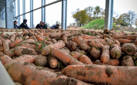 Фермеры калининградской области сообщают о срыве посевной кампании из-за дождей