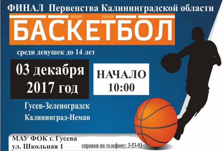 3 декабря в ФОКе пройдет финал первенства области по баскетболу среди девушек до 14 лет