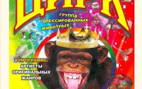 15 ноября Городской дом культуры приглашает на цирковое представление