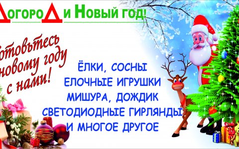 В магазине «СаДогороД» большой ассортимент новогоднего товара