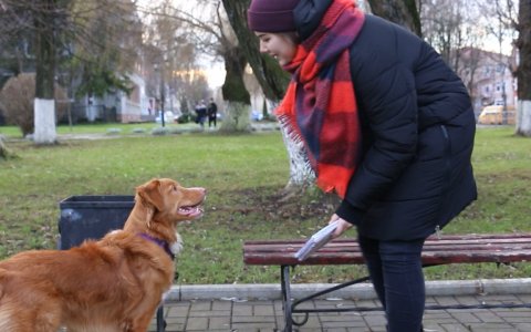 Студенты агропромышленного колледжа заняли первое место в конкурсе социальной рекламы «П.О.Р.А!»